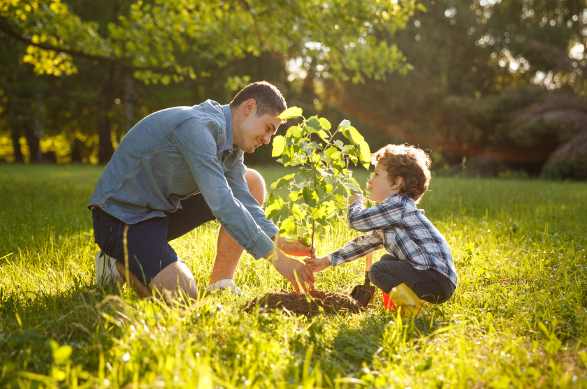 dad and son planting tree