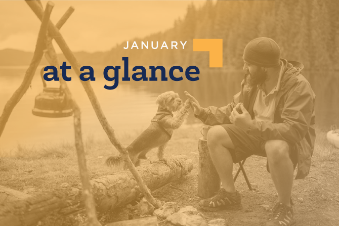 January At a Glance Email in PDF Format