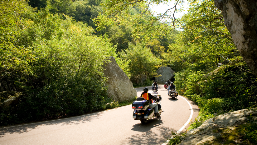 motorcycles on road
