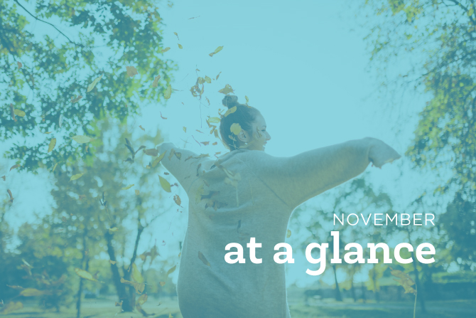 November_AAG