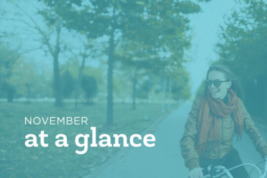 November At a Glance